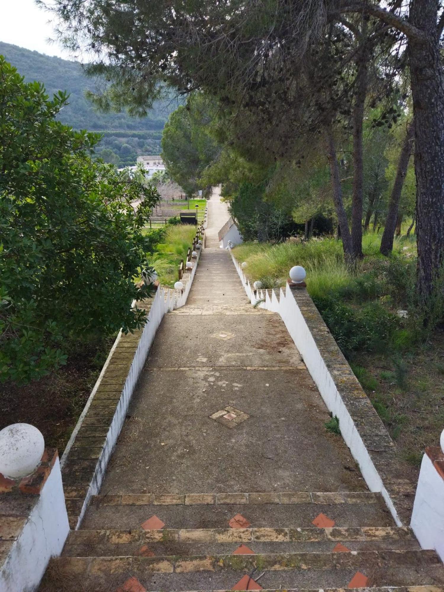 Casa Bienvenida - Carcaixent住宿加早餐旅馆 外观 照片