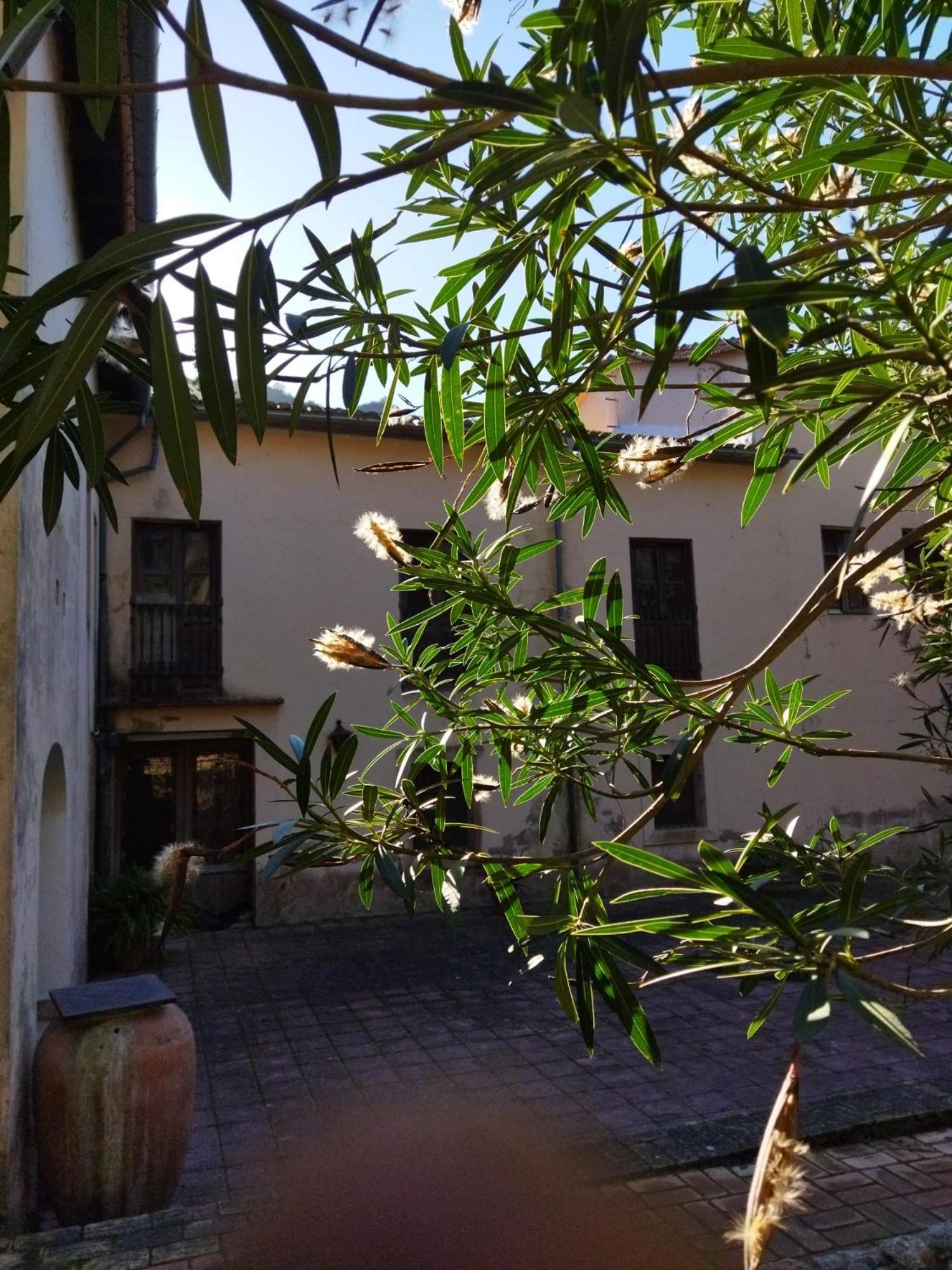 Casa Bienvenida - Carcaixent住宿加早餐旅馆 外观 照片